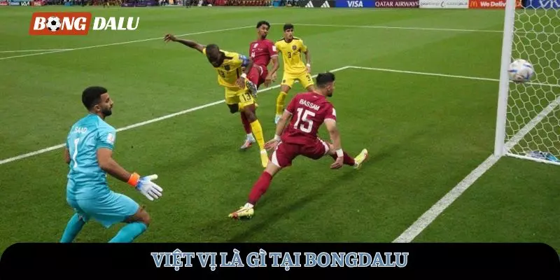 viet-vi-la-gi-avt